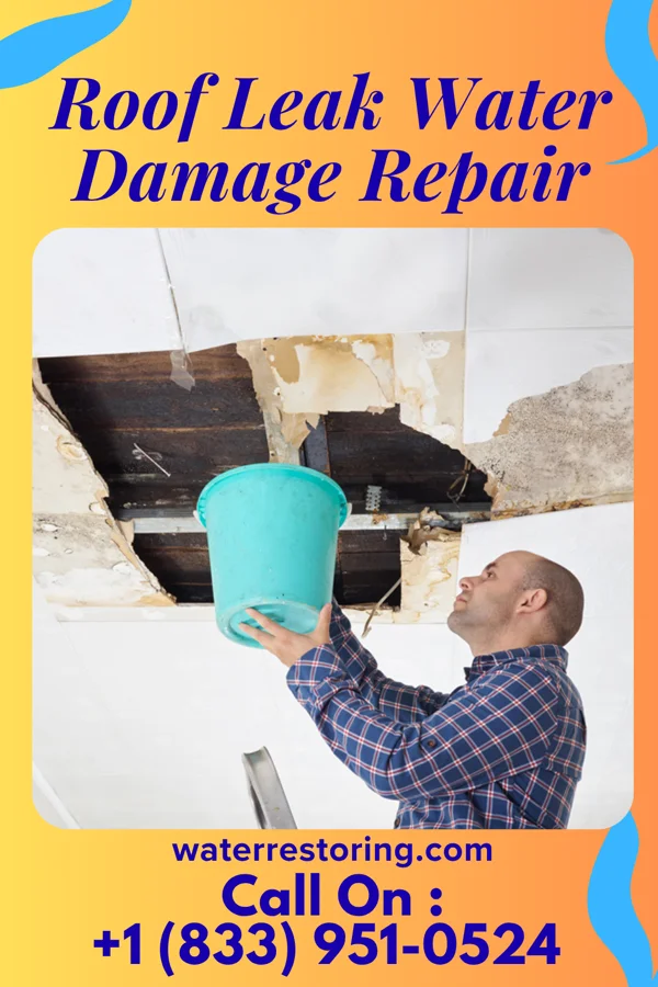 Roof Leak Water Damage Repair in St. James, MN
