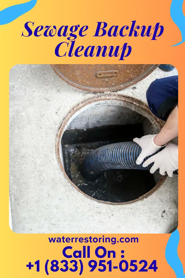 Sewage Backup Cleanup in St. James, MN