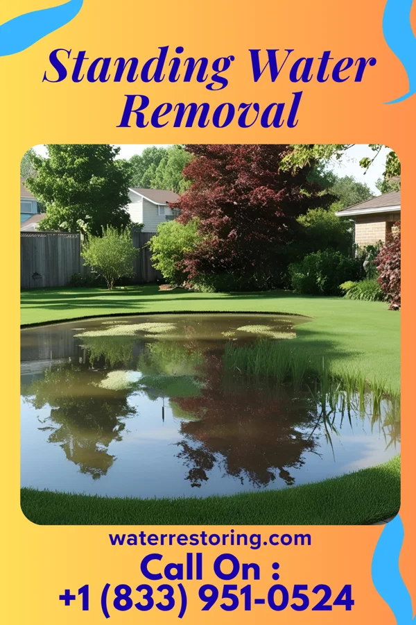 Standing Water Removal in St. James, MN